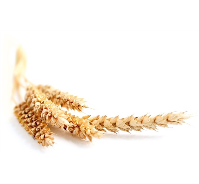 Протеины пшеницы (фитокератин), 50 гр