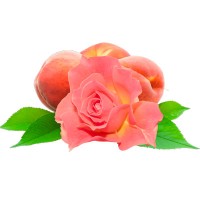 Роза и персик, отдушка, 10 мл