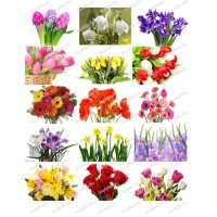 Цветы/прямоугольник (для пластиковой формы 8 мартапрямоугольник)