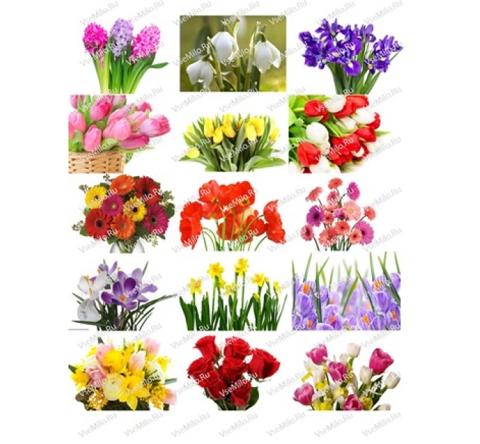 Цветы/прямоугольник (для пластиковой формы 8 мартапрямоугольник)