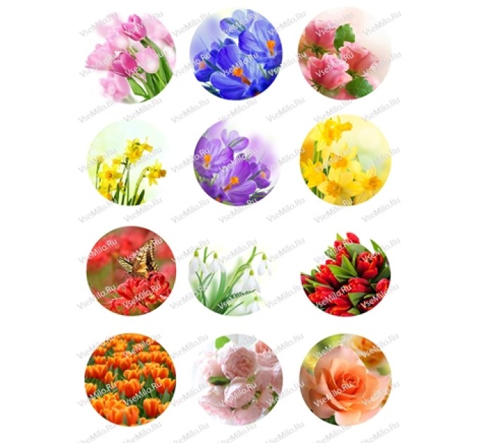 Цветы/круг (для пластиковой формы открытка 8 марта)